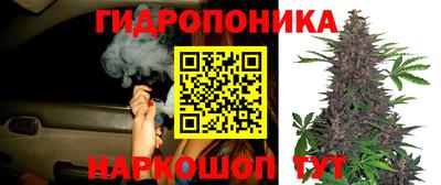мдпв Апшеронск