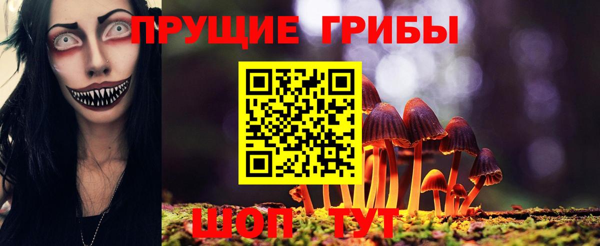 Благодарный  Галлюциногенные грибы ЛСД  Вход с VPN  Галлюциногенные грибы Psilocybine cubensis 